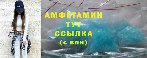 индика Долгопрудный