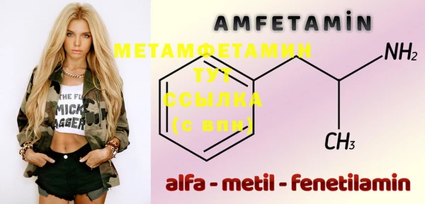 индика Долгопрудный