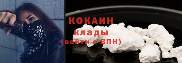 СК Гусь-Хрустальный