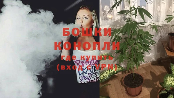 дурь Липки