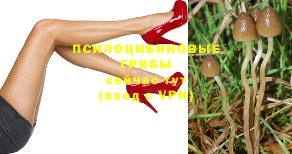 прущий лед Гусев
