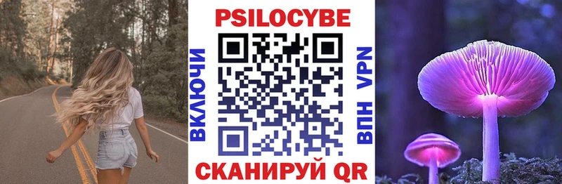 Псилоцибиновые грибы прущие грибы  omg маркетплейс  Ельня 